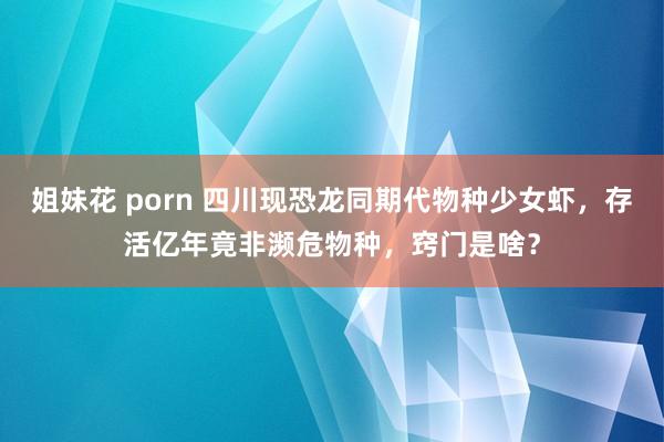 姐妹花 porn 四川现恐龙同期代物种少女虾，存活亿年竟非濒危物种，窍门是啥？