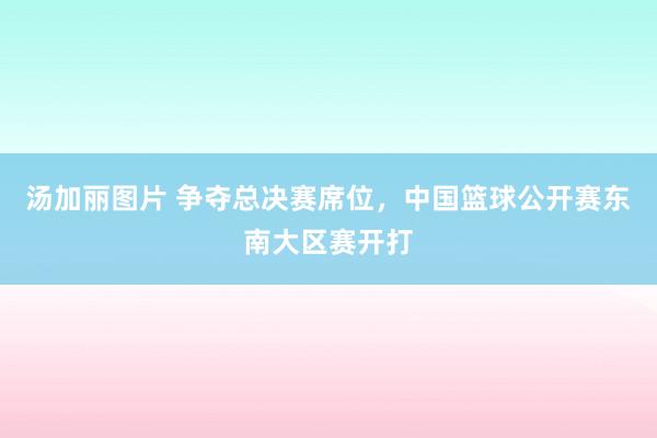 汤加丽图片 争夺总决赛席位，中国篮球公开赛东南大区赛开打