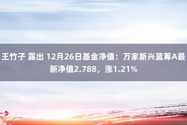 王竹子 露出 12月26日基金净值：万家新兴蓝筹A最新净值2.788，涨1.21%