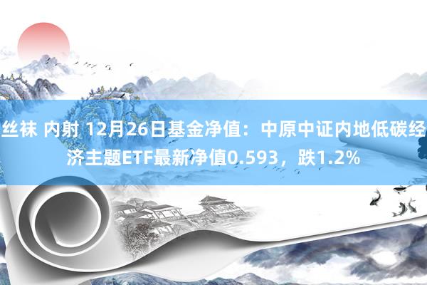 丝袜 内射 12月26日基金净值：中原中证内地低碳经济主题ETF最新净值0.593，跌1.2%