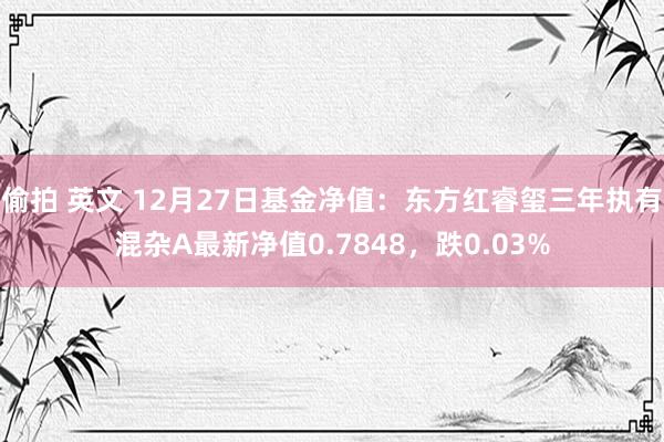 偷拍 英文 12月27日基金净值：东方红睿玺三年执有混杂A最新净值0.7848，跌0.03%