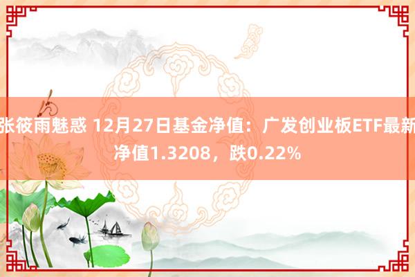 张筱雨魅惑 12月27日基金净值：广发创业板ETF最新净值1.3208，跌0.22%