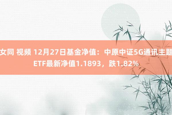 女同 视频 12月27日基金净值：中原中证5G通讯主题ETF最新净值1.1893，跌1.82%