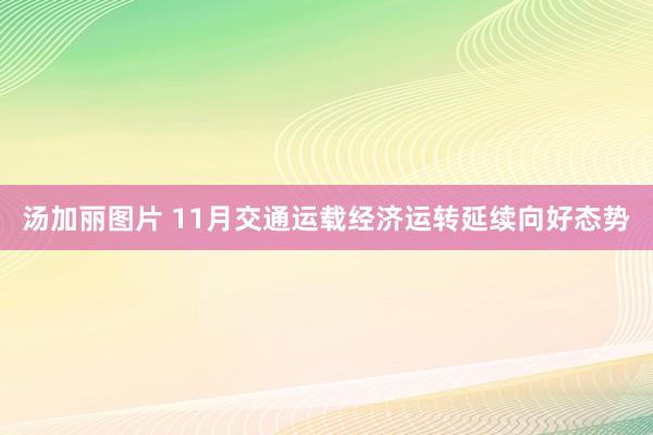 汤加丽图片 11月交通运载经济运转延续向好态势