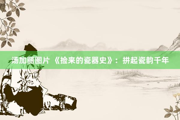 汤加丽图片 《捡来的瓷器史》：拼起瓷韵千年