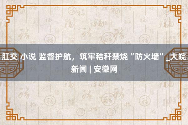 肛交 小说 监督护航，筑牢秸秆禁烧“防火墙”_大皖新闻 | 安徽网