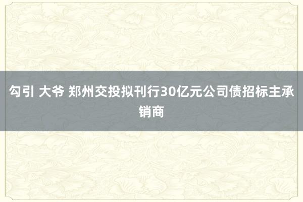 勾引 大爷 郑州交投拟刊行30亿元公司债招标主承销商