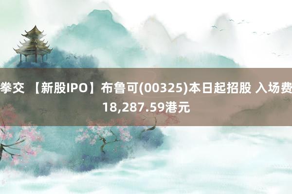 拳交 【新股IPO】布鲁可(00325)本日起招股 入场费18，287.59港元