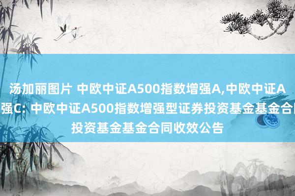 汤加丽图片 中欧中证A500指数增强A，中欧中证A500指数增强C: 中欧中证A500指数增强型证券投资基金基金合同收效公告