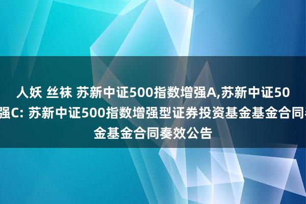 人妖 丝袜 苏新中证500指数增强A，苏新中证500指数增强C: 苏新中证500指数增强型证券投资基金基金合同奏效公告