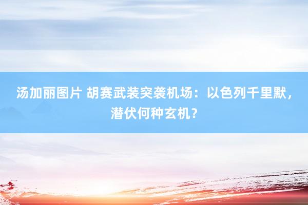 汤加丽图片 胡赛武装突袭机场：以色列千里默，潜伏何种玄机？