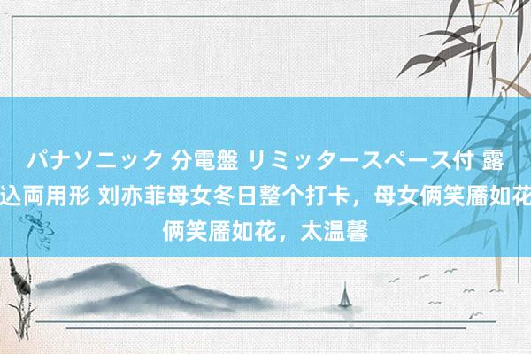 パナソニック 分電盤 リミッタースペース付 露出・半埋込両用形 刘亦菲母女冬日整个打卡，母女俩笑靥如花，太温馨