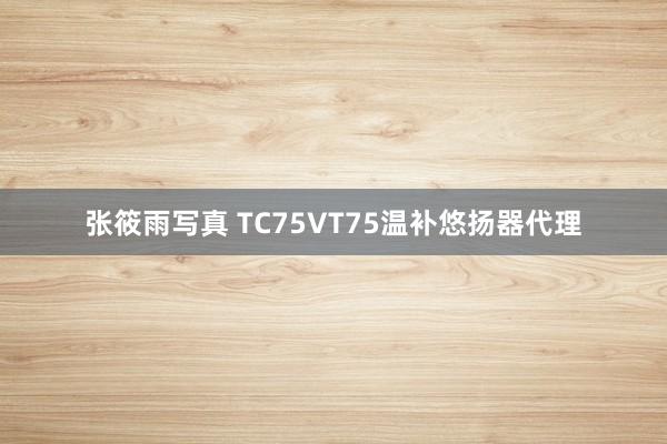 张筱雨写真 TC75VT75温补悠扬器代理