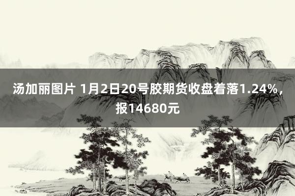 汤加丽图片 1月2日20号胶期货收盘着落1.24%，报14680元