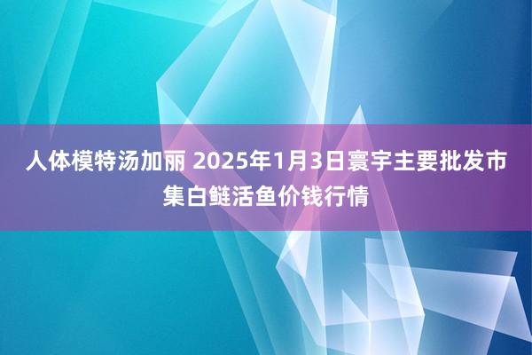 人体模特汤加丽 2025年1月3日寰宇主要批发市集白鲢活鱼价钱行情