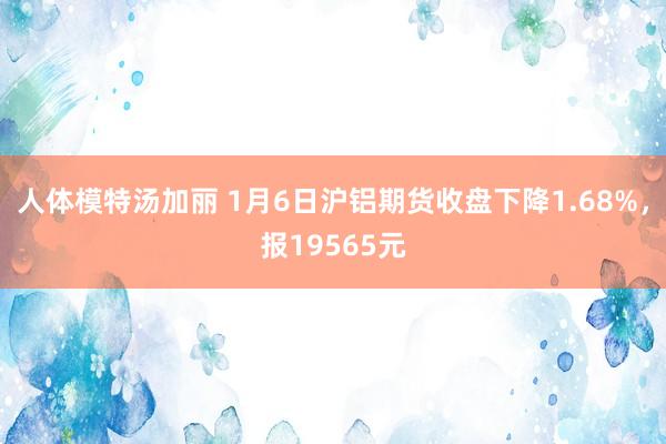 人体模特汤加丽 1月6日沪铝期货收盘下降1.68%，报19565元