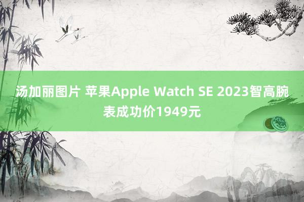 汤加丽图片 苹果Apple Watch SE 2023智高腕表成功价1949元