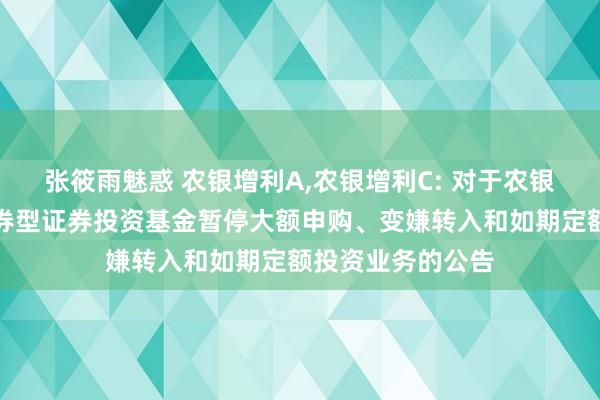 张筱雨魅惑 农银增利A，农银增利C: 对于农银汇理永恒增利债券型证券投资基金暂停大额申购、变嫌转入和如期定额投资业务的公告