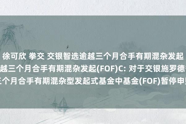 徐可欣 拳交 交银智选逾越三个月合手有期混杂发起(FOF)A，交银智选逾越三个月合手有期混杂发起(FOF)C: 对于交银施罗德智选逾越三个月合手有期混杂型发起式基金中基金(FOF)暂停申购、赎回和依期定额投资业务的公告