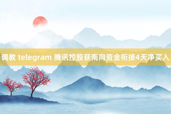 调教 telegram 腾讯控股获南向资金衔接4天净买入