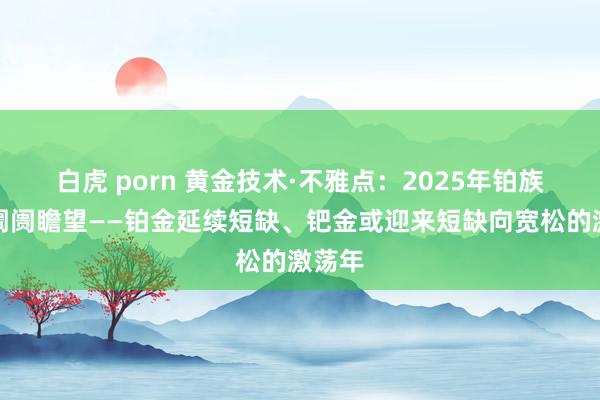 白虎 porn 黄金技术·不雅点：2025年铂族金属阛阓瞻望——铂金延续短缺、钯金或迎来短缺向宽松的激荡年