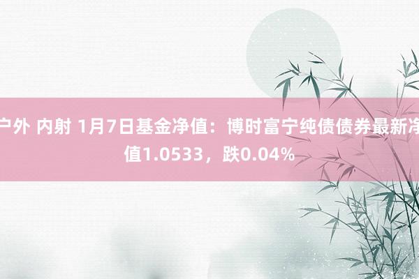 户外 内射 1月7日基金净值：博时富宁纯债债券最新净值1.0533，跌0.04%