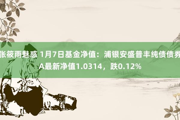 张筱雨魅惑 1月7日基金净值：浦银安盛普丰纯债债券A最新净值1.0314，跌0.12%