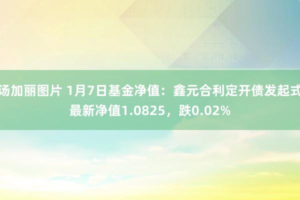 汤加丽图片 1月7日基金净值：鑫元合利定开债发起式最新净值1.0825，跌0.02%