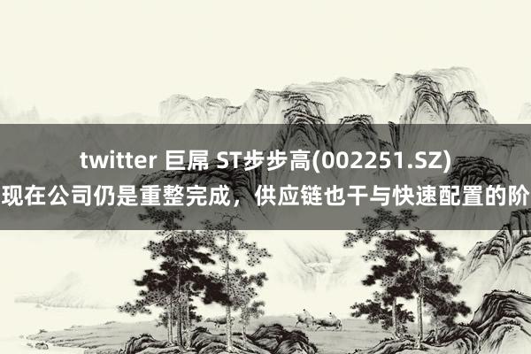 twitter 巨屌 ST步步高(002251.SZ)：现在公司仍是重整完成，供应链也干与快速配置的阶段