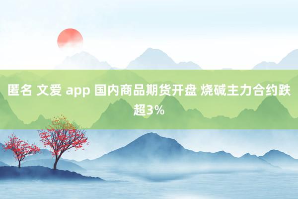 匿名 文爱 app 国内商品期货开盘 烧碱主力合约跌超3%