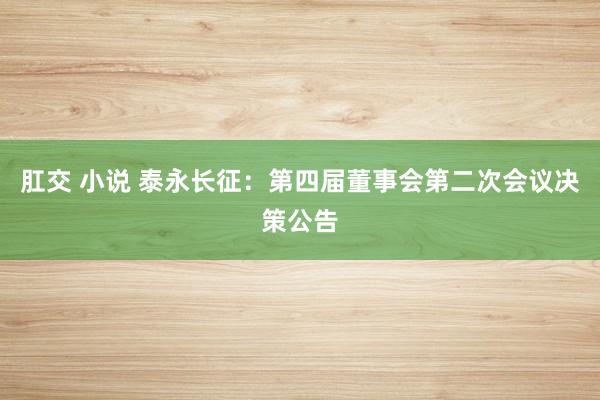 肛交 小说 泰永长征：第四届董事会第二次会议决策公告