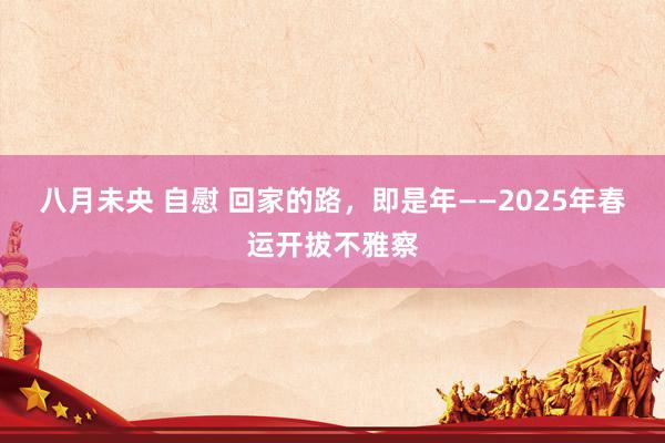 八月未央 自慰 回家的路，即是年——2025年春运开拔不雅察