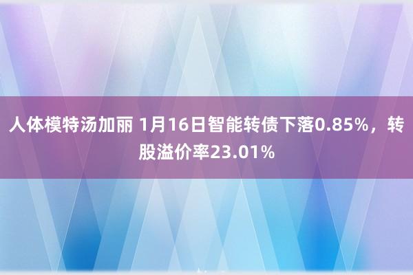 人体模特汤加丽 1月16日智能转债下落0.85%，转股溢价率23.01%